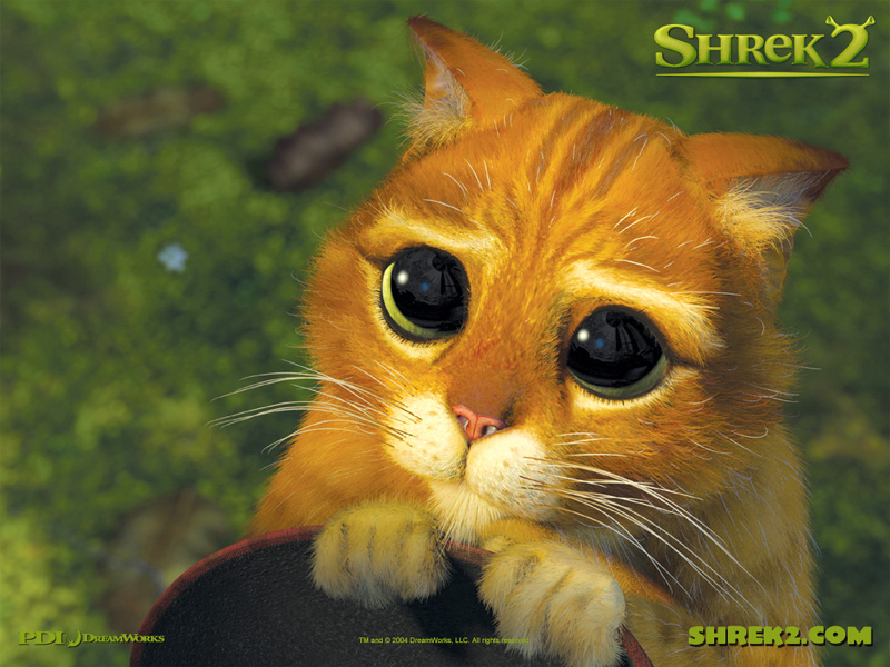 shrek_cat